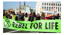 Extinction Rebellion's declaration letter