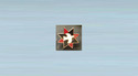 Quaker Star Badge