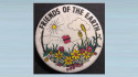 Friends of the Earth