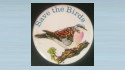 RSPB Save the Birds badges