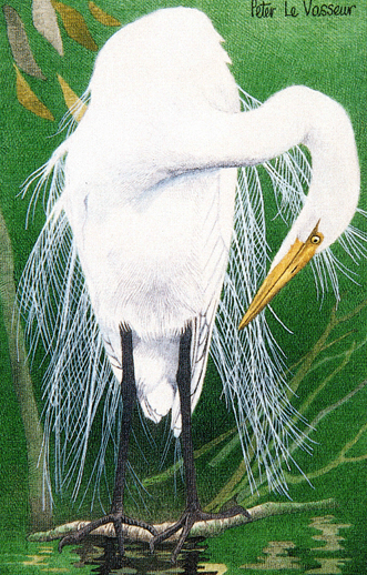 Example badge